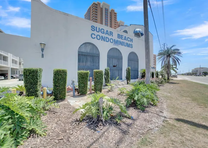 Apartment Sugar 340 By Collection